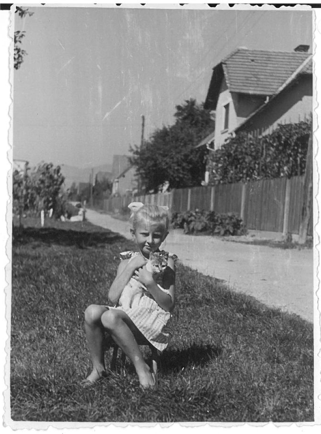 Jasna Dominko Baloh-1.jpg